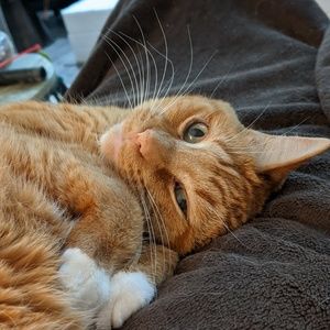 Meet your Posher, Marissa